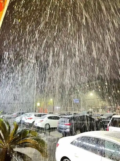 襄阳迎来牛年首场鹅毛大雪朋友圈鸡冻了接下来