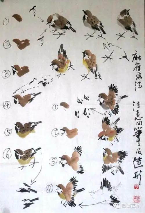 分步图示:写意麻雀画法