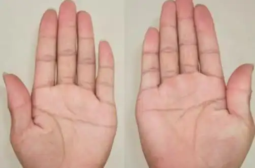 双手断掌的男人天子命吗 -手相-生肖网