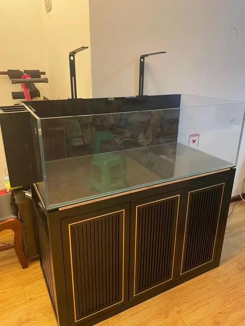 感谢贵州遵义鱼友支持!一米二半背包溪流缸,客户怕鱼缸 - 抖音