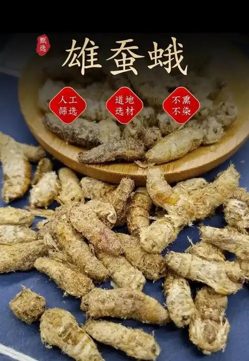 品质雄蚕蛾中药材男性泡酒东北纯公蝉俄娥蚕峨雄天蛾有仁堂 官方旗舰