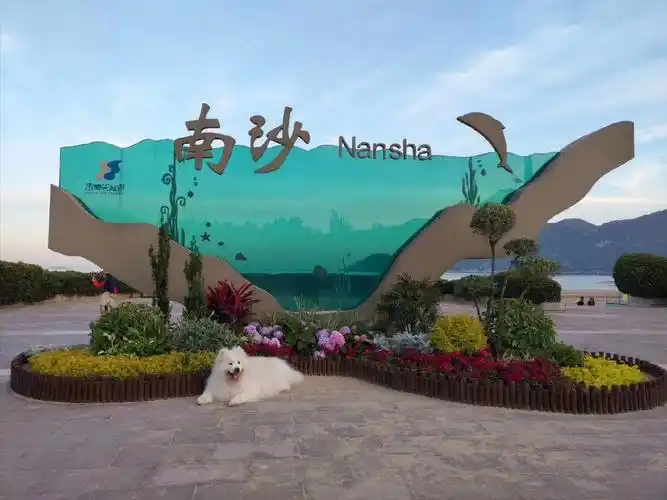 老当益壮南沙景区濒临东海,在朱家尖的南部