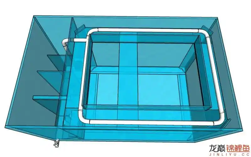diy锦鲤鱼缸设计图效果提前看