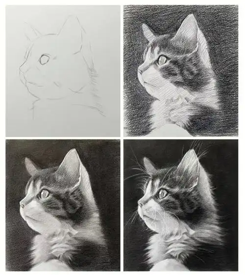 超细致可爱的素描猫咪教学步骤图点赞评论