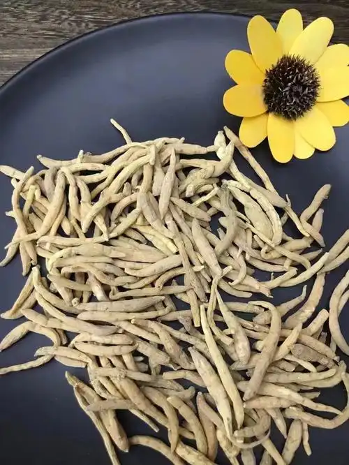 小孩不吃饭,厌食,给他吃太子参91药性平和,味甘,有补气生津的作用.