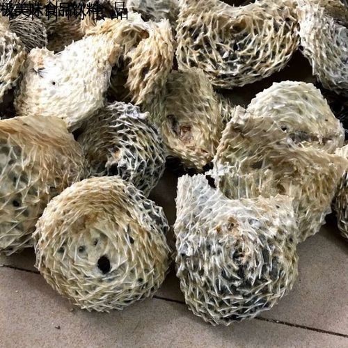 朵朵玲珑(tonloss)深海养野胃刺龟鱼皮 500克 刺豚皮海胆皮 海产干货