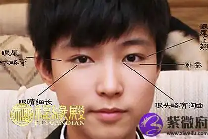 面相学中,丹凤眼一般都单眼皮,但是,如果注意一下的话,有些丹凤眼的人