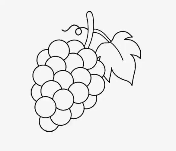 葡萄简笔画图片 葡萄简笔画图片彩色
