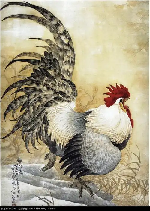 国画大公鸡 国画大公鸡作品欣赏