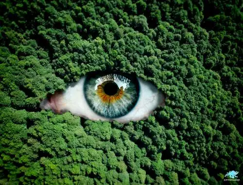 天空之城 - 换个角度看世界