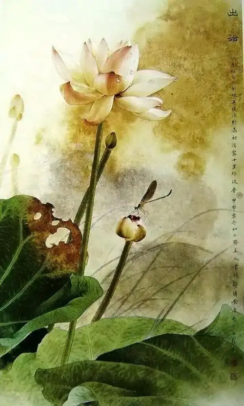 工笔画写意荷花小品