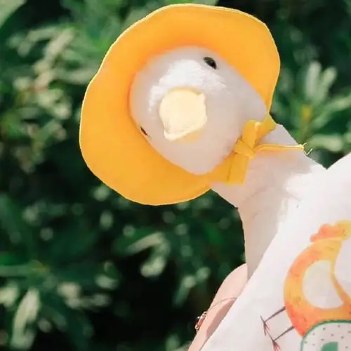 小黄帽白鸭子头像