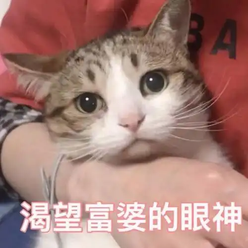 战斗力max科院最强生存指南全在这里