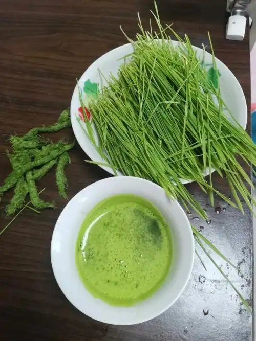 美味小麦草完成,甜丝丝的青草汁,美味健康.