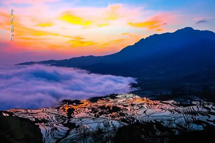 元阳梯田之二多依树梯田日出 .