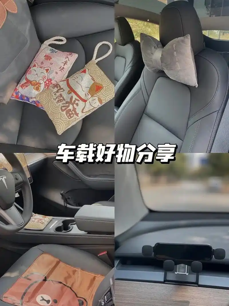 车载好物分享|特斯拉车载好物|||第二波分享啦! - 抖音