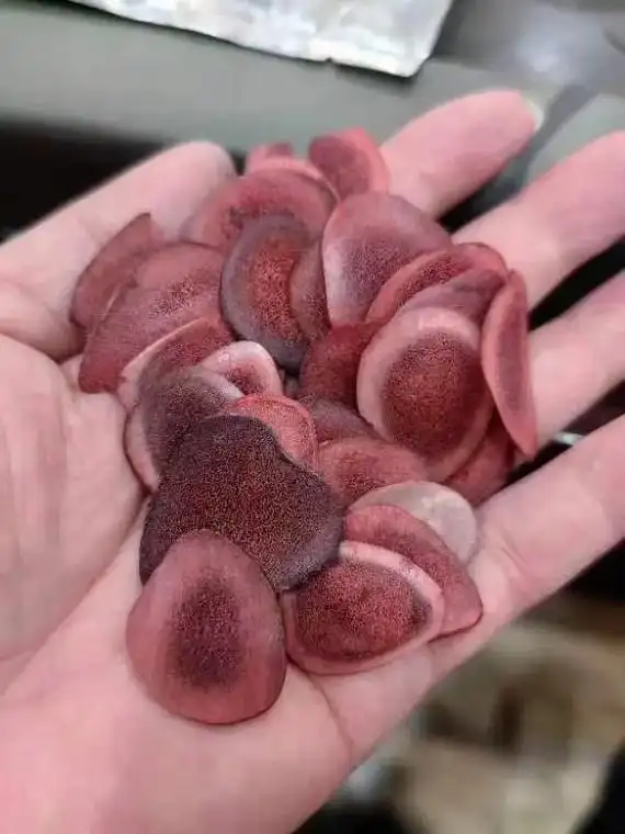 今天一个朋友让我看这个鹿茸,这个哪里是什么鹿茸啊,图一整个鹿 - 抖