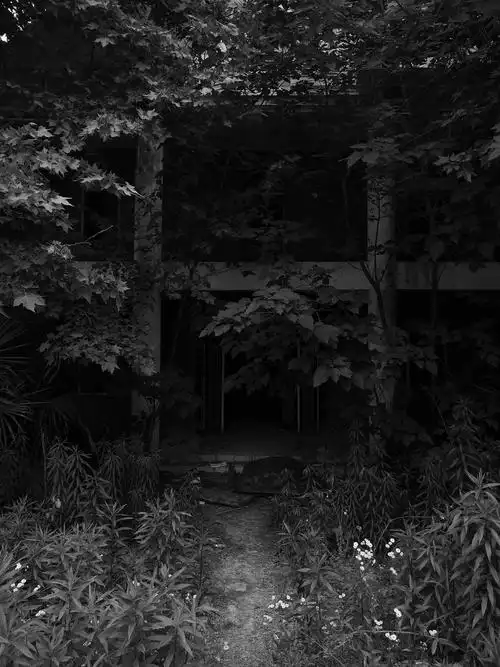 略阴森的大楼,保安来了没有进去