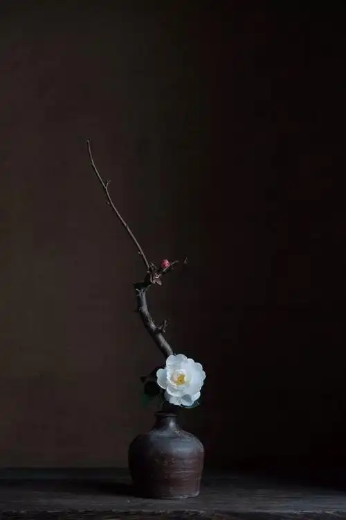 【 草木禅意 …】