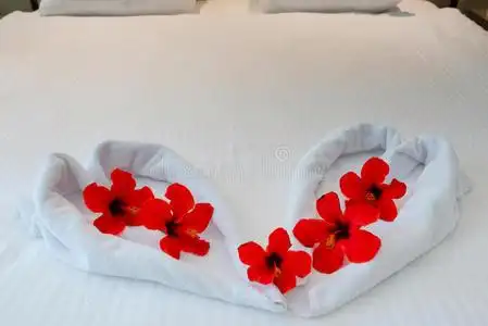 蜜月床上用毛巾做的心照片