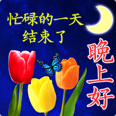 精美晚上好图片,漂亮晚上好表情包,打招呼晚上好美图