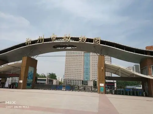 郑州动物园的天鹅湖