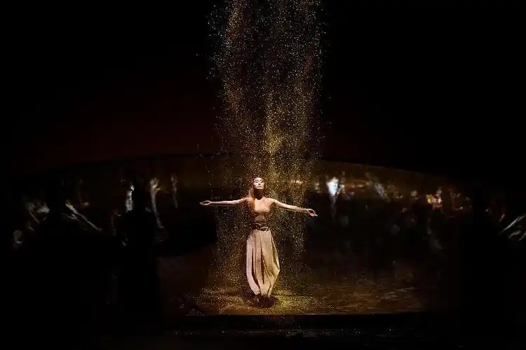 杨丽萍受伤拄拐春之祭首演上台谢幕超敬业