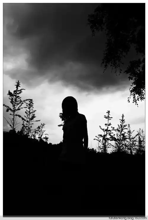 猪的灰色心情 - 甫头 - 斧头窗子