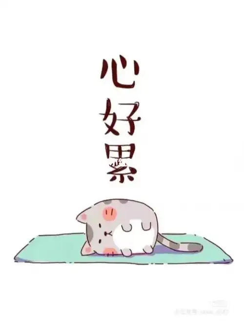 真心付出,不一定有收获,还可能是收祸.最近心好累!委屈060606