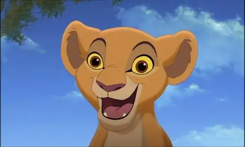 狮子王2:辛巴的荣耀