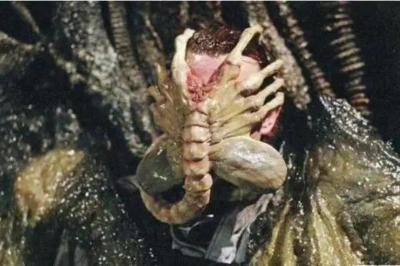 抱脸虫真的在现实生活中存在吗寄生高等动物身上抱住脸