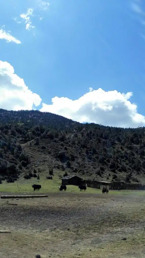 小凉山青龙海风光