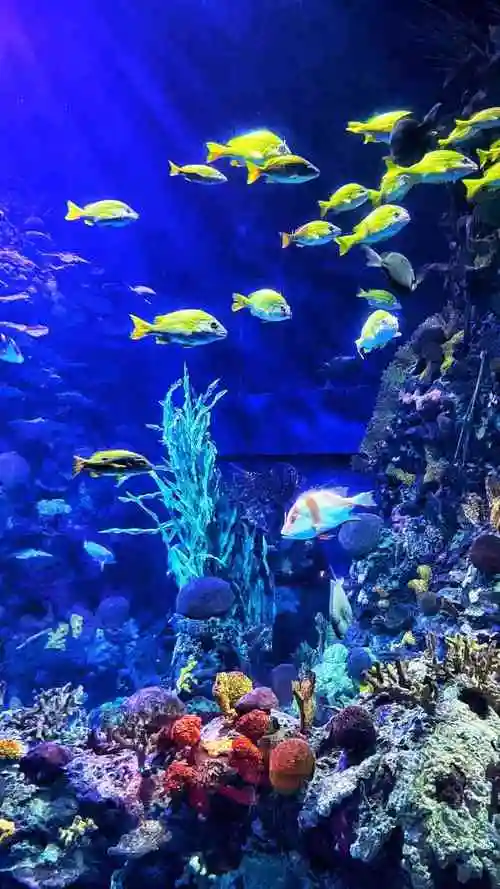 上海长风海洋世界