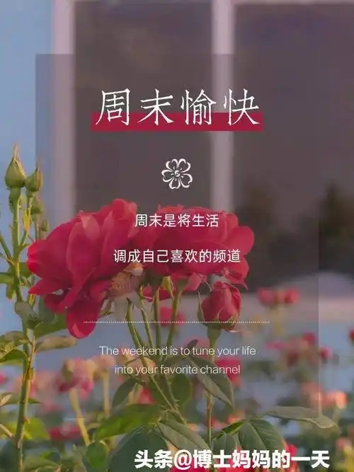 朋友们周末愉快早安!轻轻的问候最漂亮图片和温馨祝福送给您!