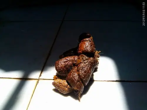 一坨有质感的便便.