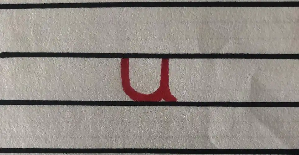 高山子幼儿园中班线上学习五,《认识和学写单韵母u》