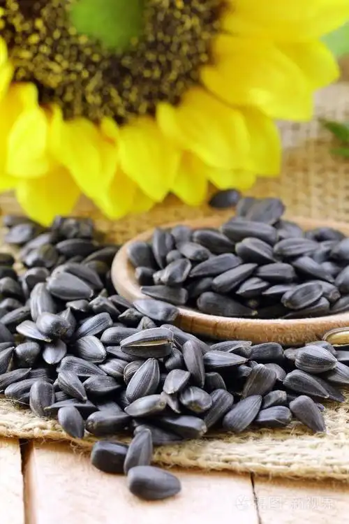 向日葵种子与一朵花的背景