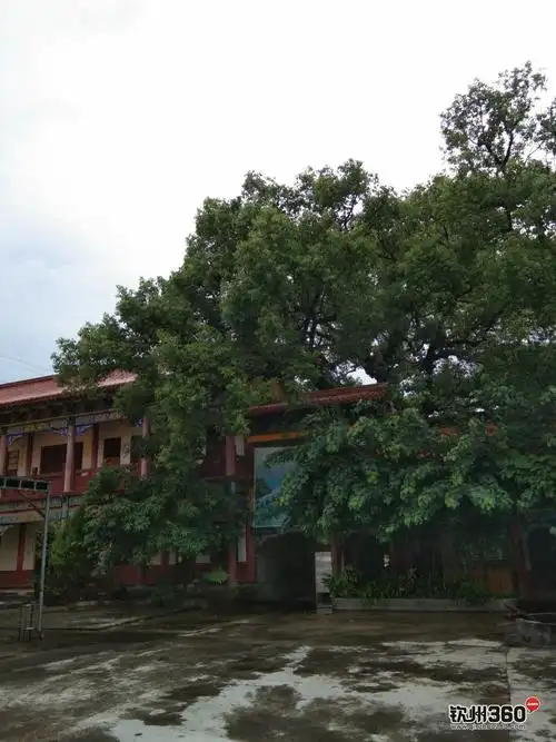 路过灵山县武利镇青云寺