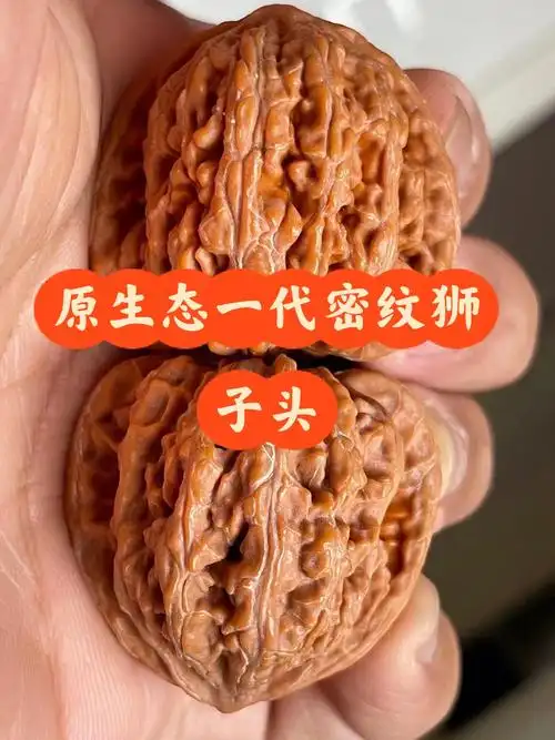 文玩核桃原生态密纹狮子头03