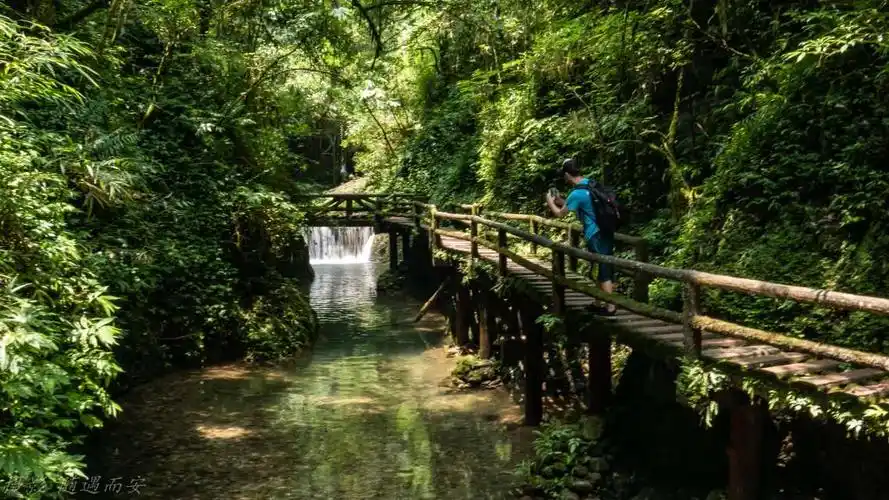 青城后山龙隐峡,不失大峡谷的险峻,更有青城山的幽深……        看