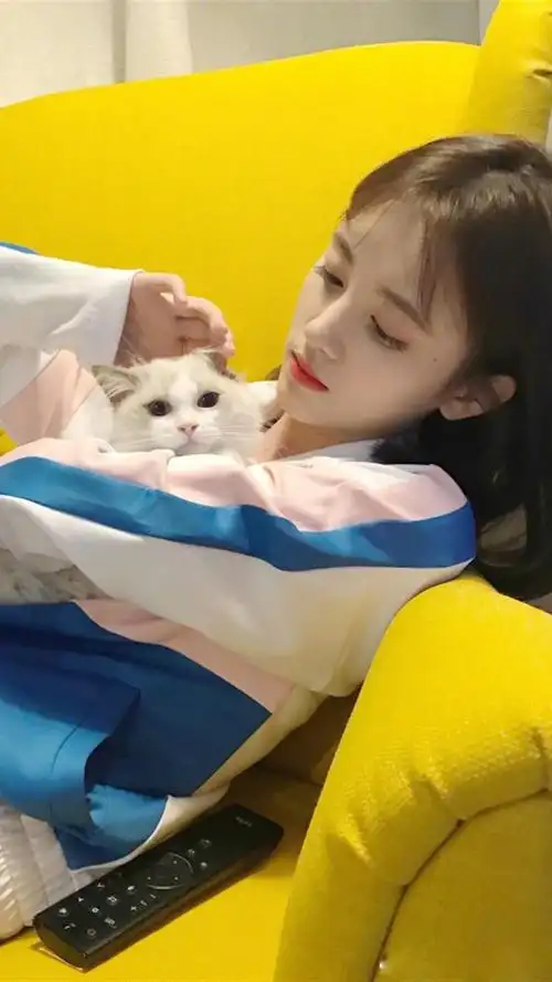 鞠婧祎撸猫,高清图片,手机锁屏桌面-壁纸族