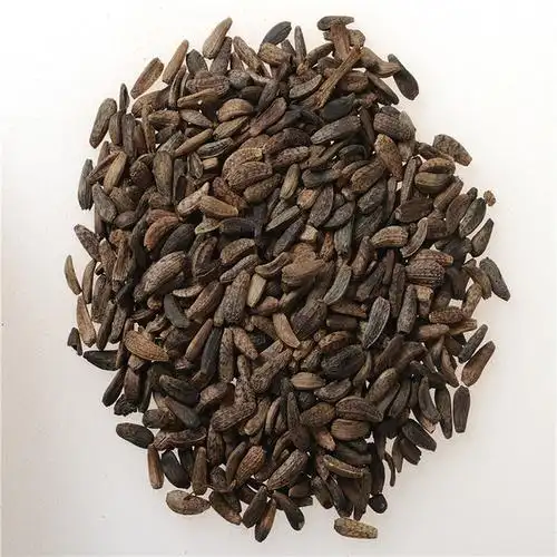 【牛蒡子】_牛蒡子的功效与作用及食用方法_中药易