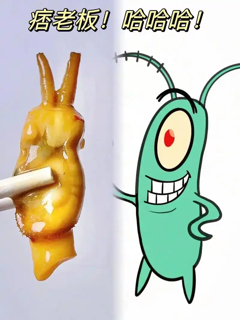 图文伙伴计划 吃蛏子的季节,肥大的蛏子太美味了,各种做法我