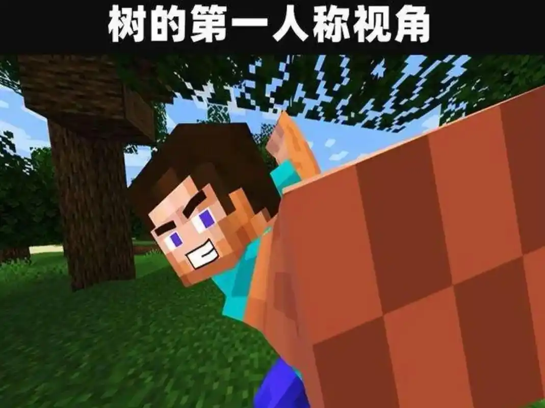 人类迷糊行为大赏 #我的世界 #梗图 #国际好吃的92 # - 抖音