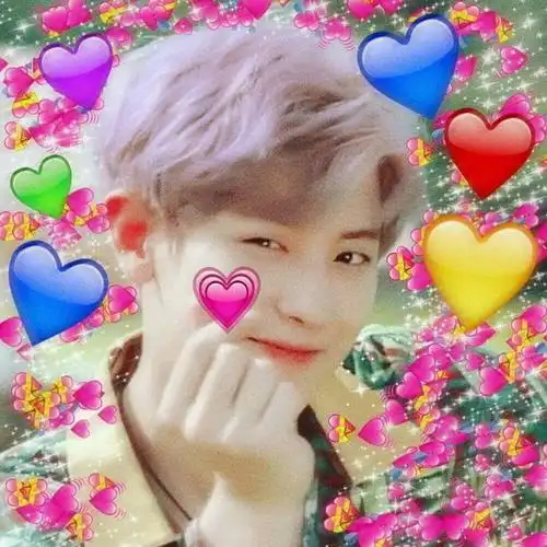 exo朴灿烈表情包