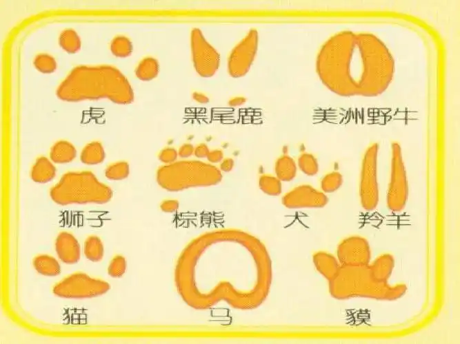 人教版美术二下 《奇妙的脚印》ppt课件5