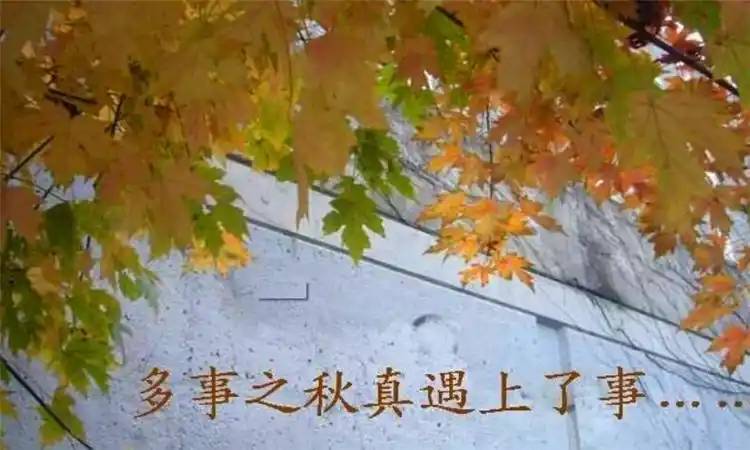 多事之秋是什么意思