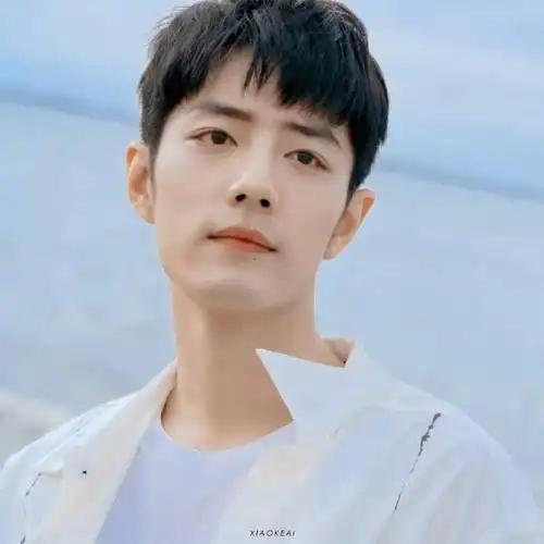 内娱明星头像大户##肖战