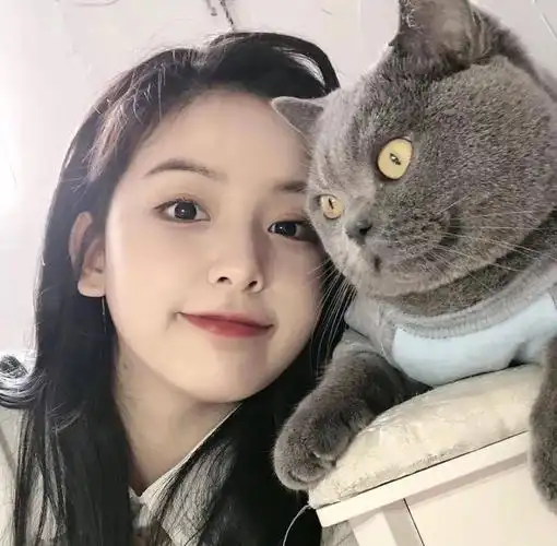 抖音头像:今天最火头像