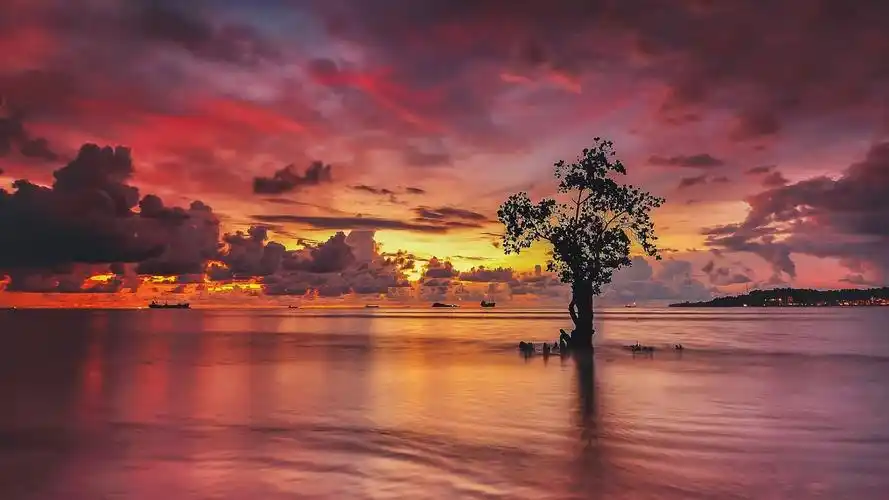 自然壁纸,自然,夕阳,山水,湖泊,电脑壁纸,壁纸令人陶醉的风景